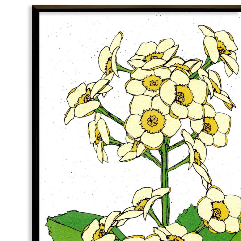 Unspoken Yellow No.272